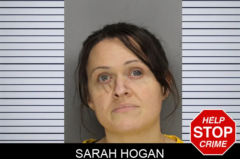 Sarah Hogan mugshot