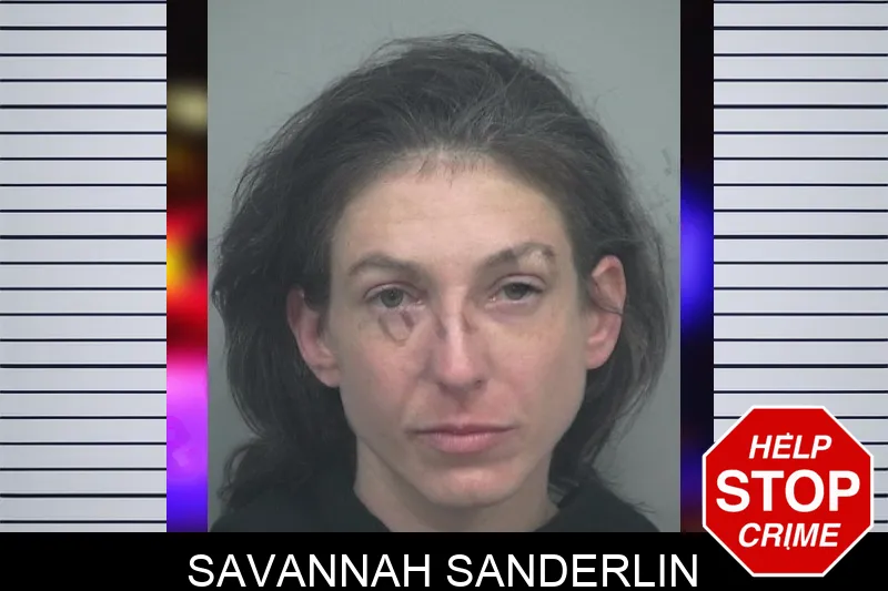 Savannah Sanderlin mugshot