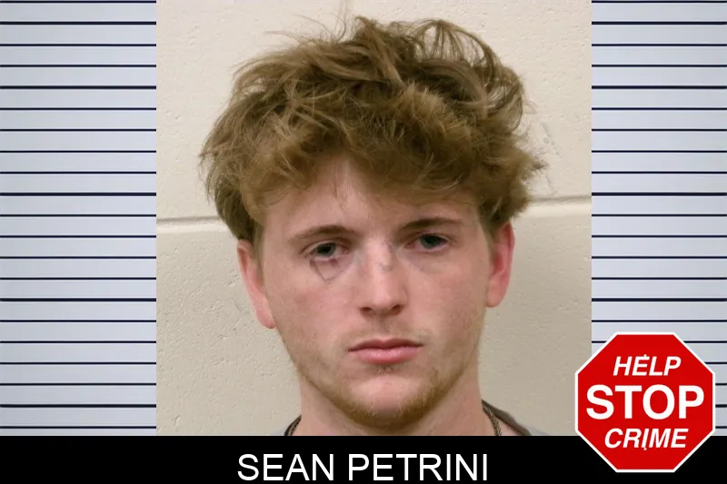 Sean Petrini Mugshots