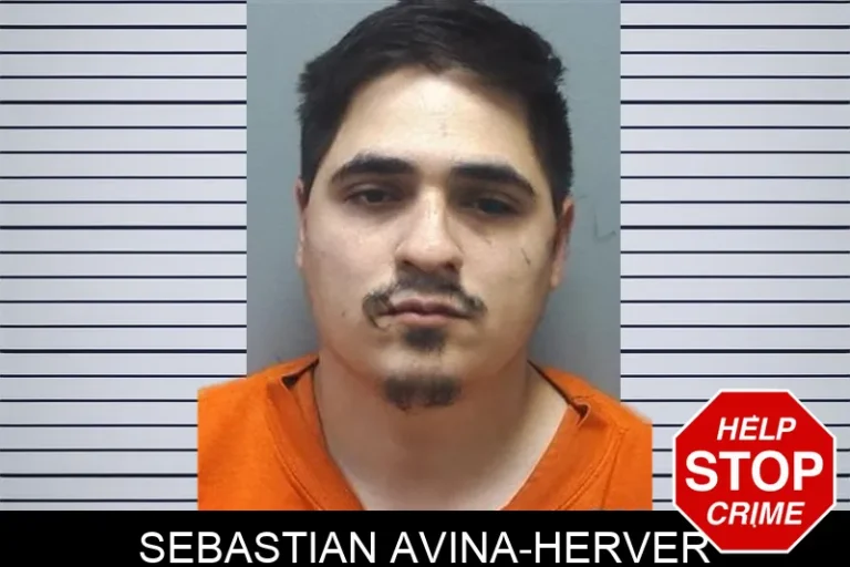 Sebastian Avina-Herver