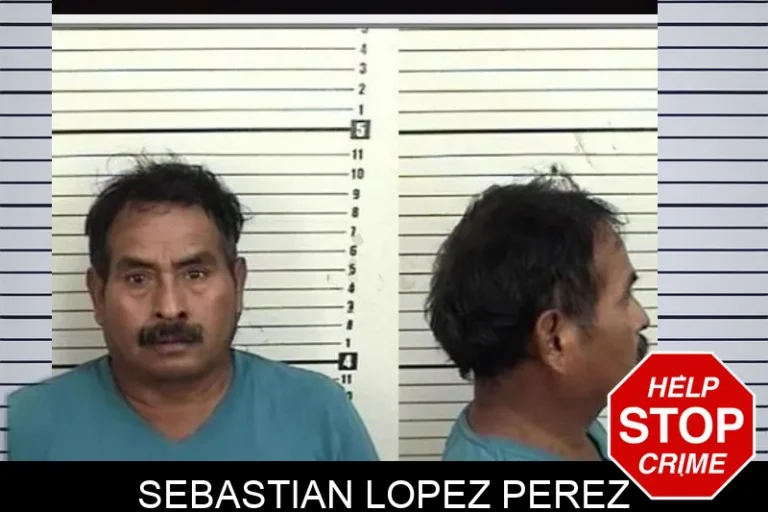 Sebastian Lopez Perez