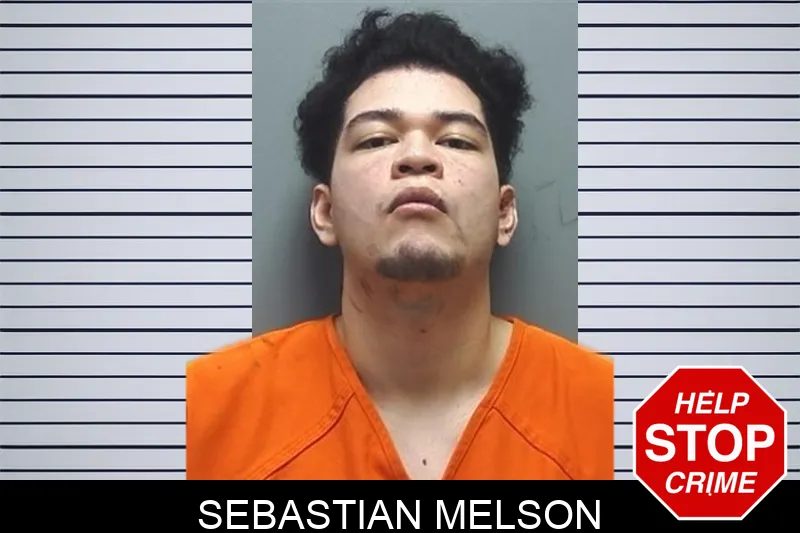 Sebastian Melson mugshot – Cherokee County , Georgia Sebastian Melson mugshot