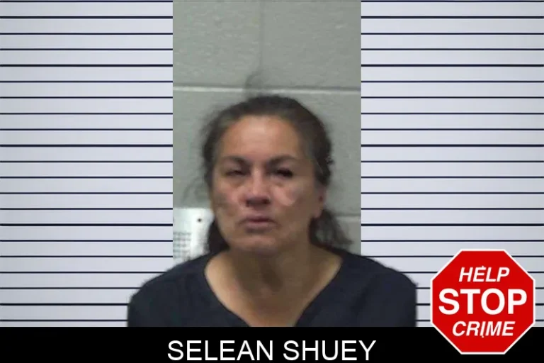 Selean Shuey mugshot β Gilmer County , Georgia Selean Shuey