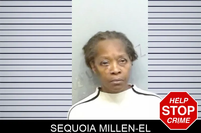 Sequoia Millen-El mugshot – Fulton County , Georgia Sequoia Millen-El mugshot