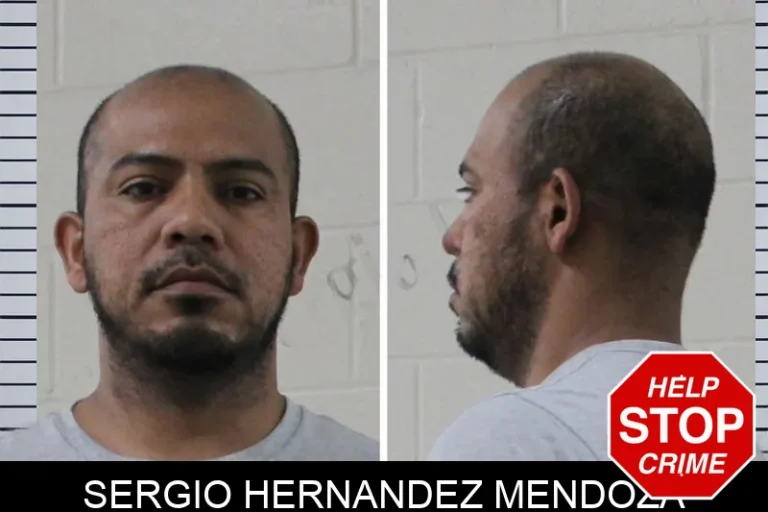 Sergio Hernandez Mendoza