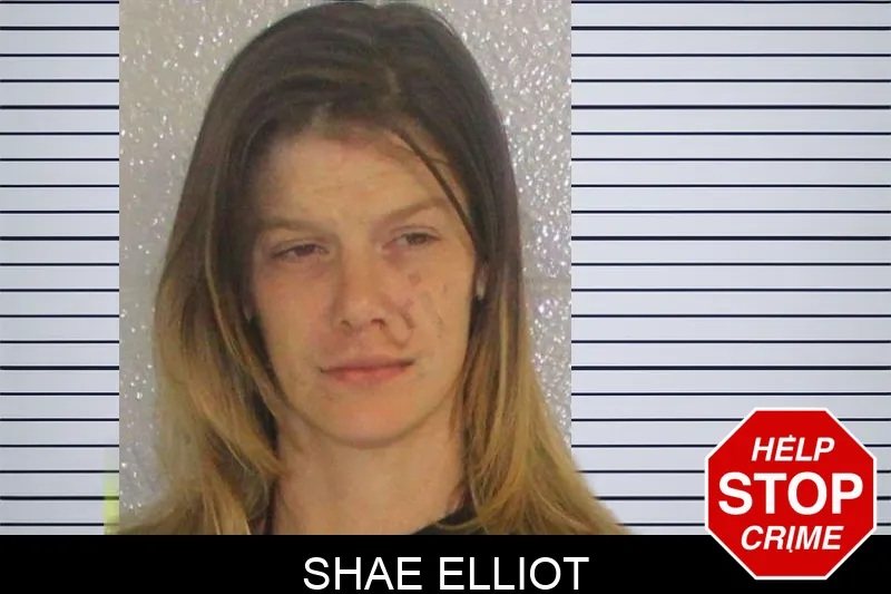 Shae Elliot mugshot