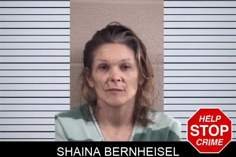 Shaina Bernheisel