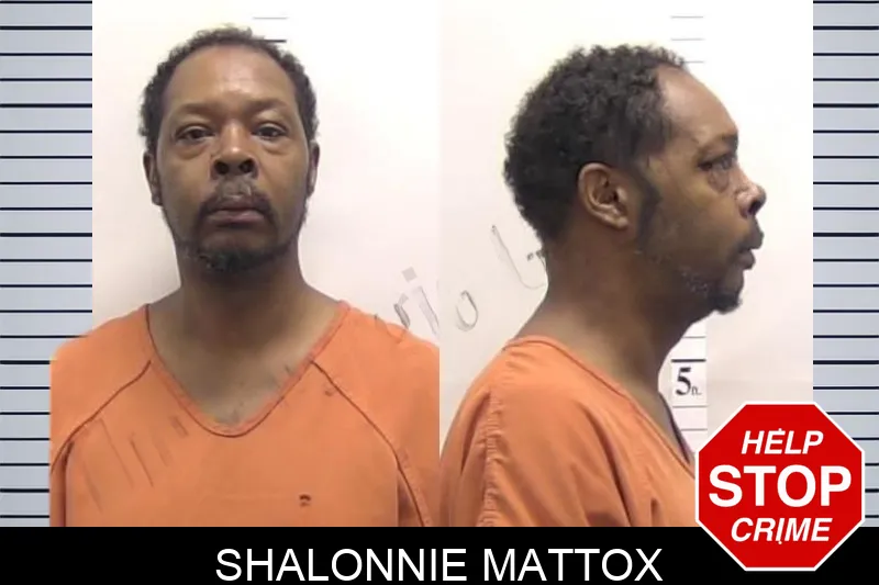 Shalonnie Mattox Mugshots