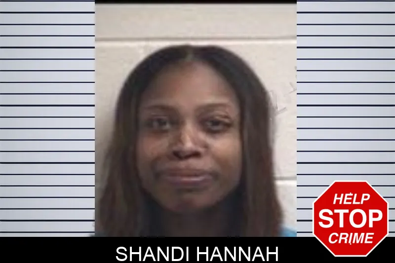 Shandi Hannah mugshot