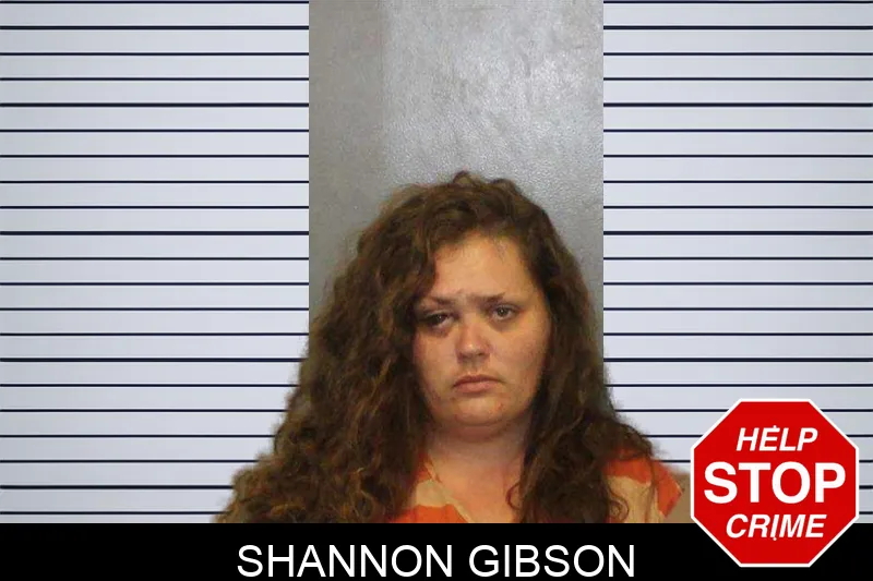 Shannon Gibson Mugshots