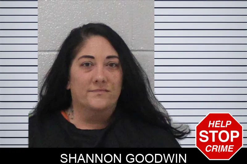 Shannon Goodwin mugshot