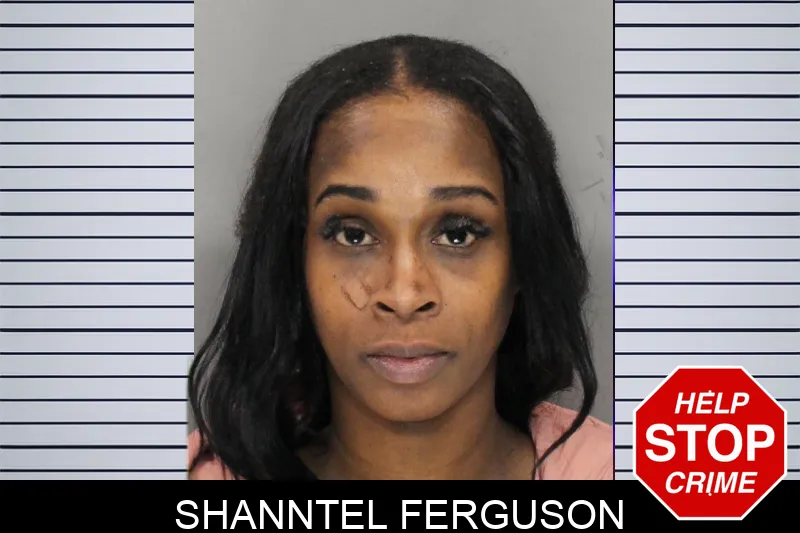 Shanntel Ferguson mugshot