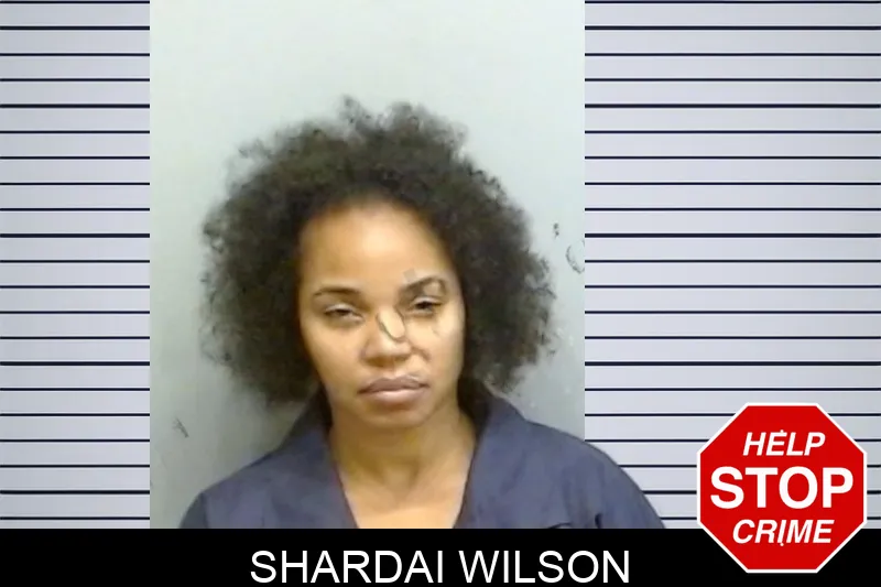 Shardai Wilson mugshot