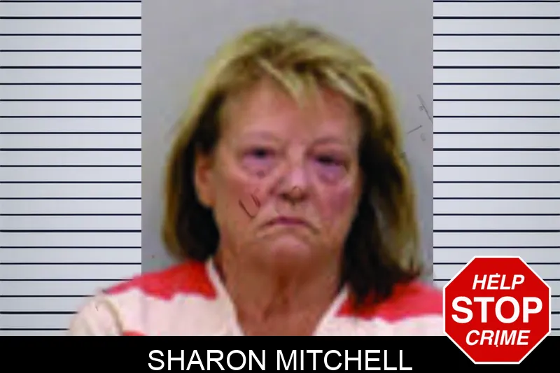 Sharon Mitchell