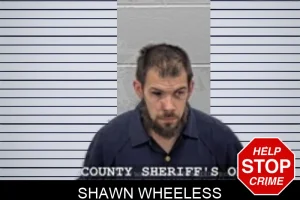 Shawn Wheeless mugshot