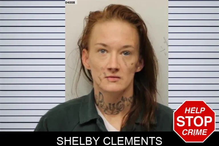 Shelby Clements mugshot – Chatham County , Georgia Shelby Clements