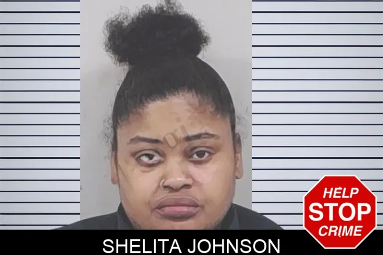 Shelita Johnson mugshot – Lowndes County , Georgia Shelita Johnson