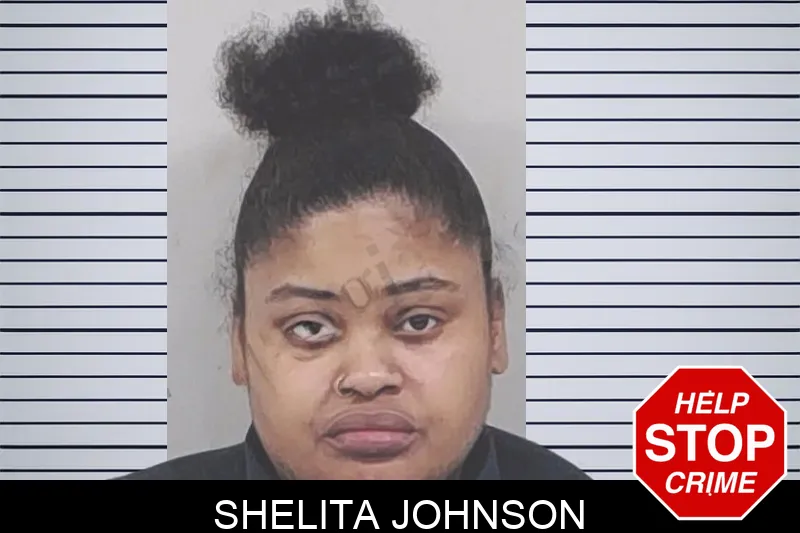 Shelita Johnson mugshot – Lowndes County , Georgia Shelita Johnson mugshot
