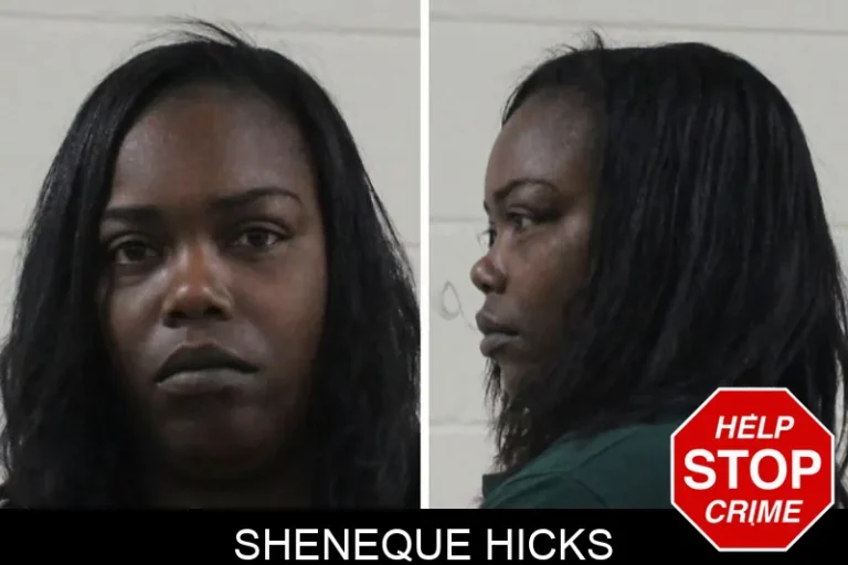 Sheneque Hicks mugshot – Houston County , Georgia Sheneque Hicks