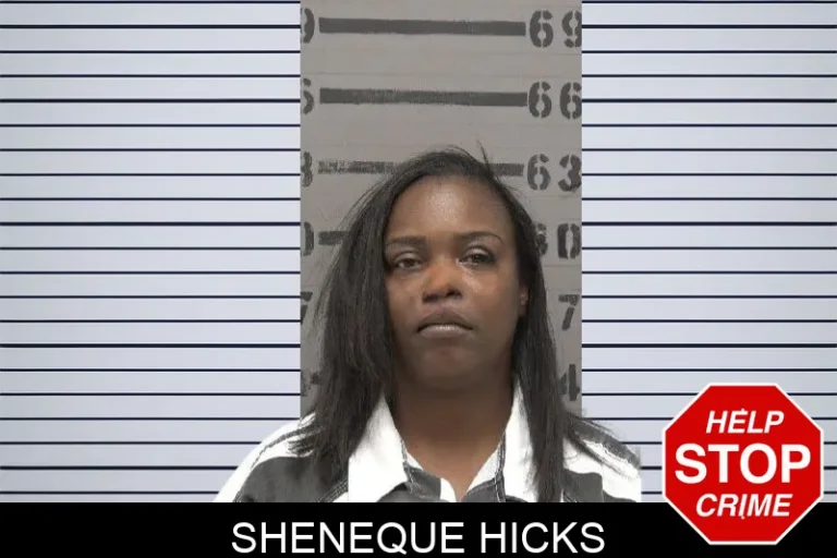 Sheneque Hicks mugshot – Dougherty County , Georgia Sheneque Hicks