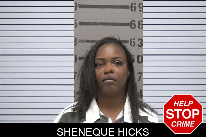 Sheneque Hicks mugshot – Dougherty County , Georgia Sheneque Hicks mugshot
