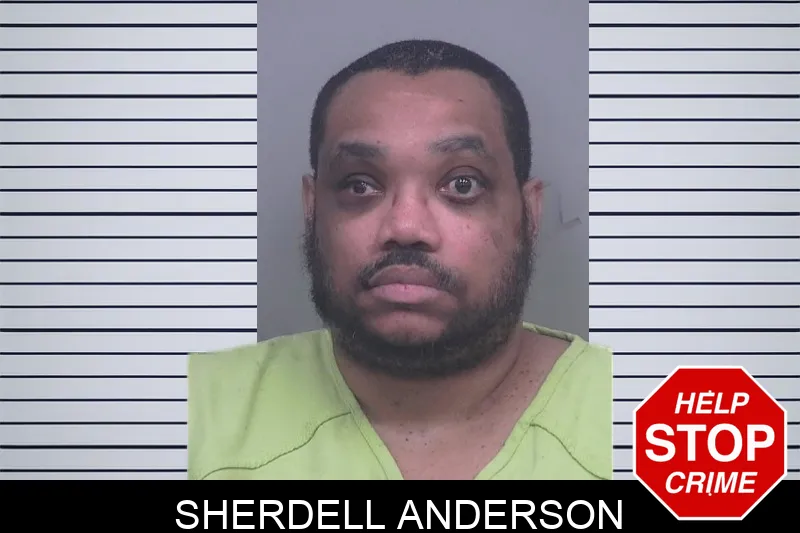 Sherdell Anderson mugshot – Gwinnett County , Georgia Sherdell Anderson mugshot