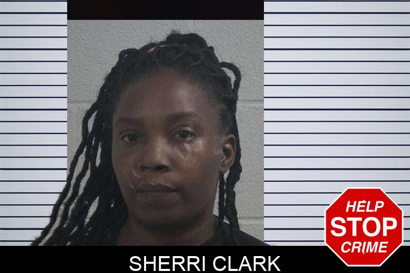 Sherri Clark Mugshots