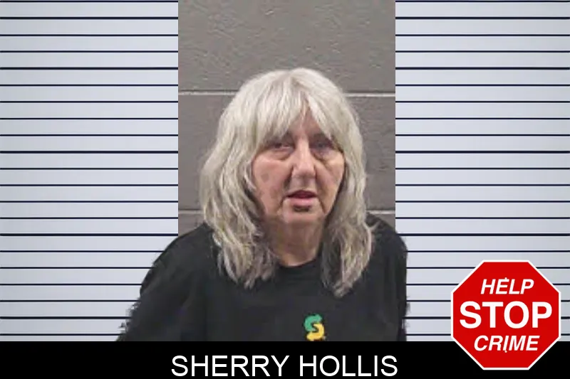 Sherry Hollis mugshot