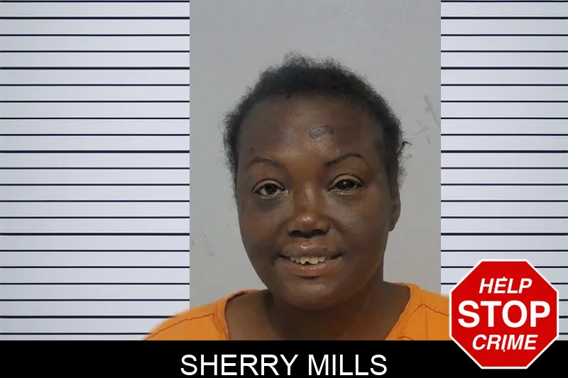 Sherry Mills Mugshots