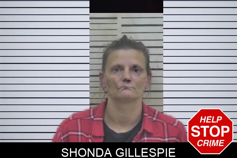 Shonda Gillespie Mugshots