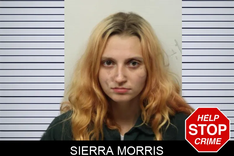 Sierra Morris mugshot – Chatham County , Georgia Sierra Morris mugshot