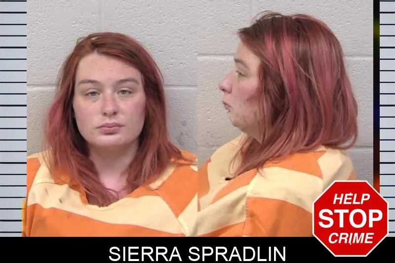 Sierra Spradlin mugshot – Paulding County , Georgia Sierra Spradlin mugshot