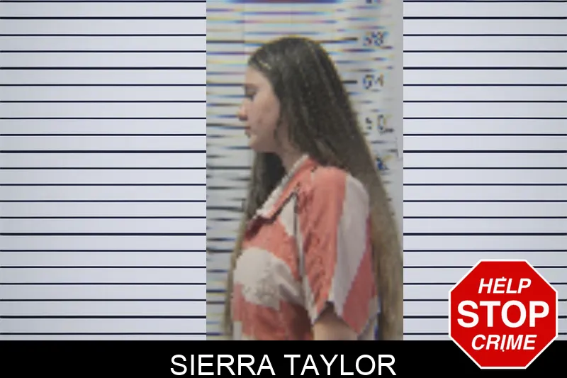Sierra Taylor Mugshots