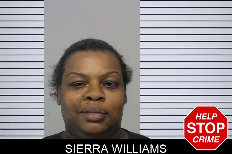 Sierra Williams Mugshots