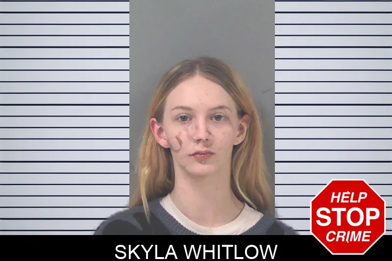 Skyla Whitlow mugshot – Douglas County , Georgia Skyla Whitlow mugshot