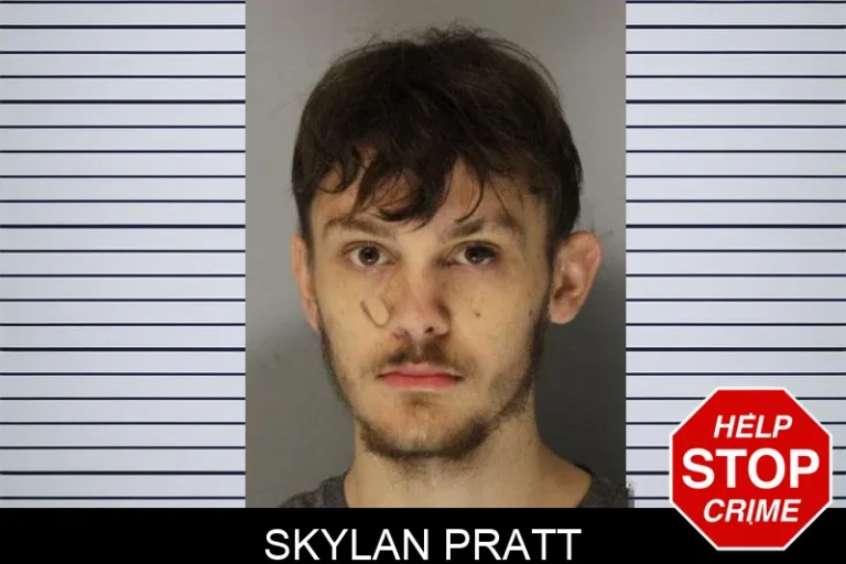 Skylan Pratt mugshot – Hall County , Georgia Skylan Pratt
