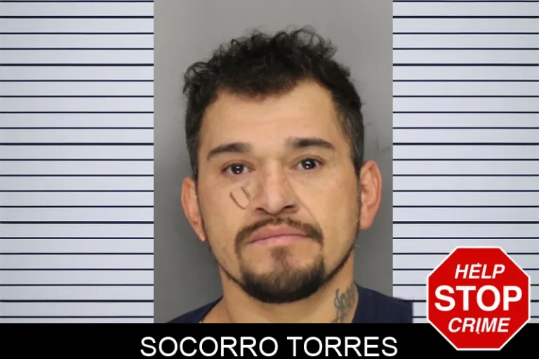 Socorro Torres mugshot – Cobb County , Georgia Socorro Torres