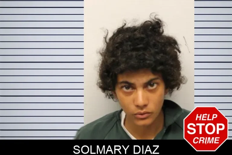 Solmary Diaz mugshot – Chatham County , Georgia Solmary Diaz