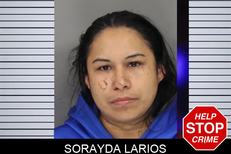 Sorayda Larios mugshot