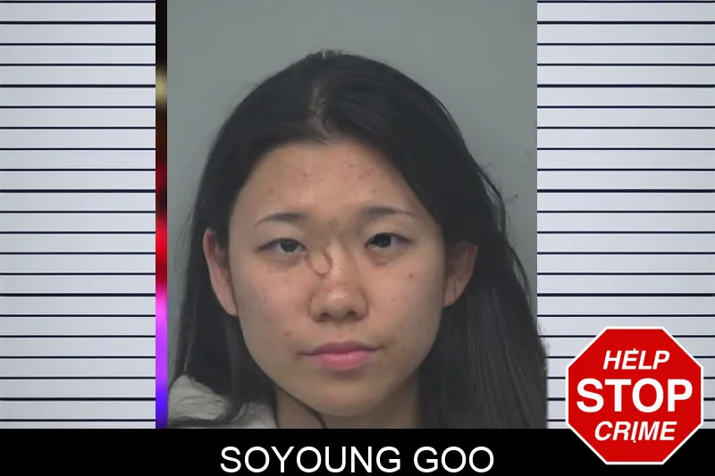 Soyoung Goo mugshot
