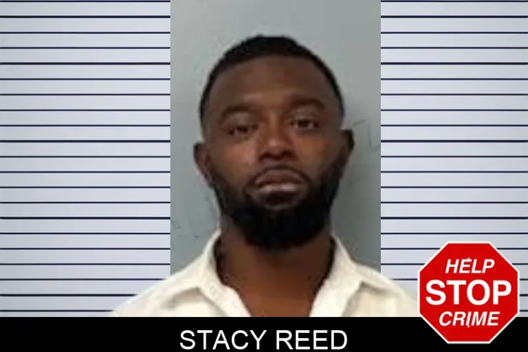 Stacy Reed
