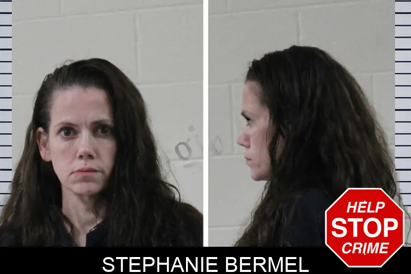 Stephanie Bermel Mugshots