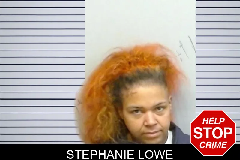 Stephanie Lowe mugshot