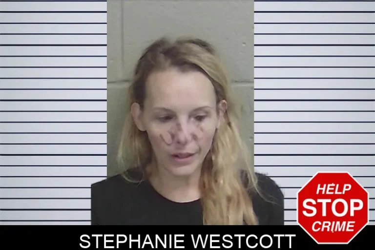 Stephanie Westcott mugshot – Wayne County , Georgia Stephanie Westcott