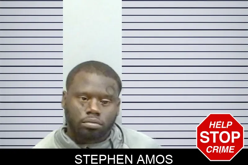 Stephen Amos mugshot
