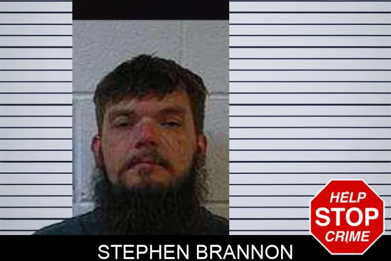 Stephen Brannon