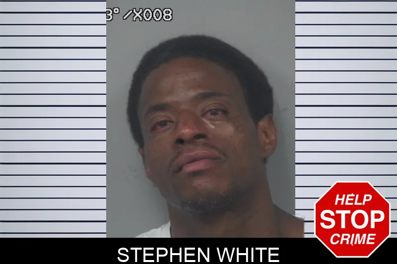 Stephen White mugshot – Gwinnett County , Georgia Stephen White mugshot