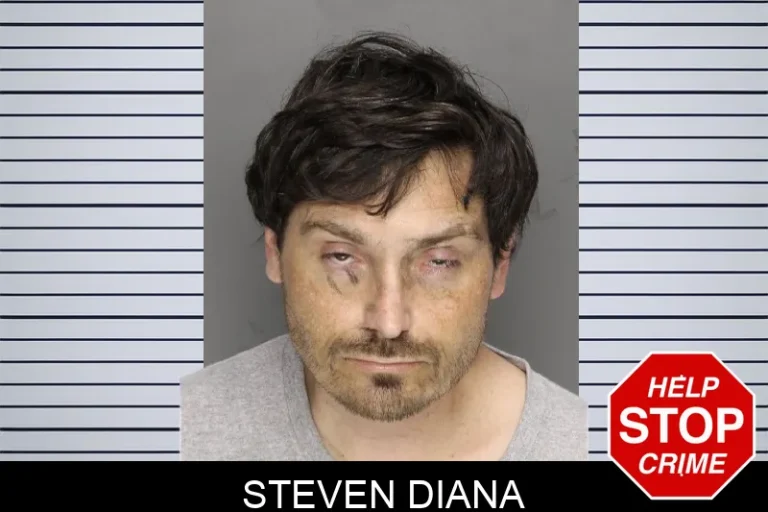 Steven Diana mugshot – Cobb County , Georgia Steven Diana