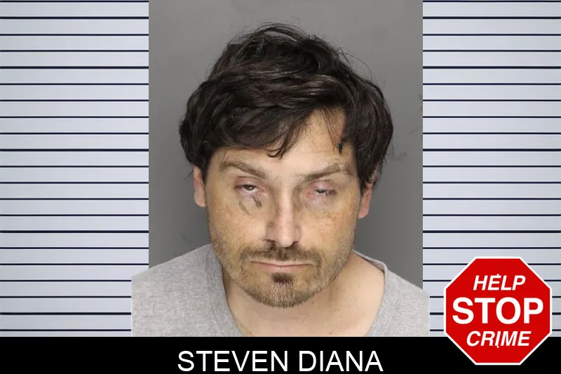 Steven Diana mugshot – Cobb County , Georgia Steven Diana mugshot