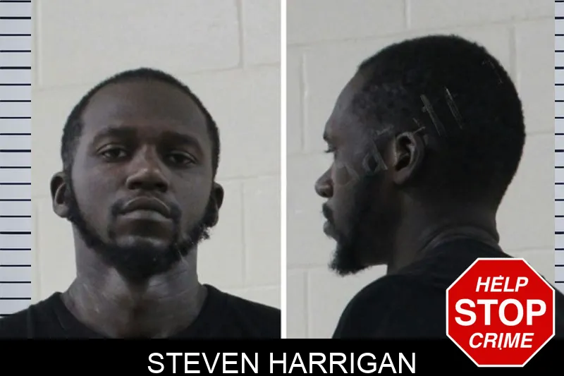 Steven Harrigan mugshot – Houston County , Georgia Steven Harrigan mugshot
